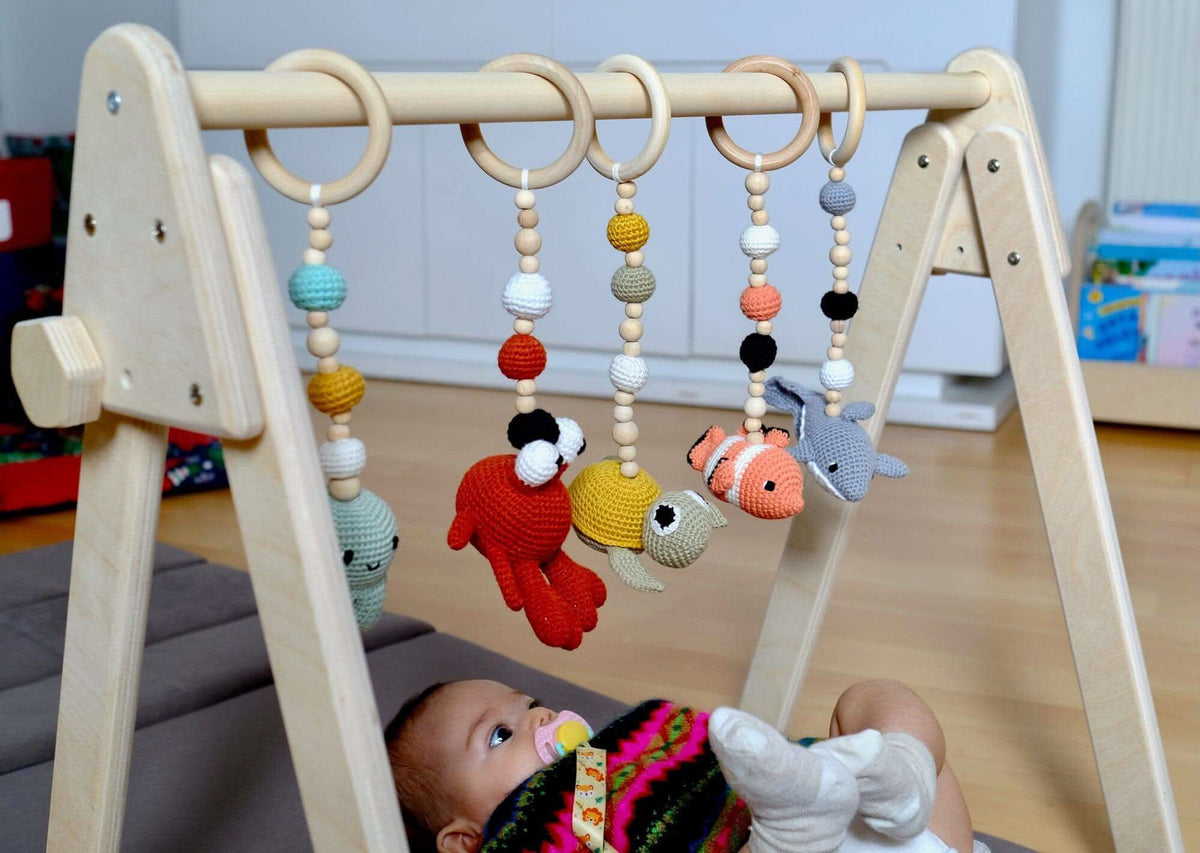 Baby Play Gym & Hanging Toys-0