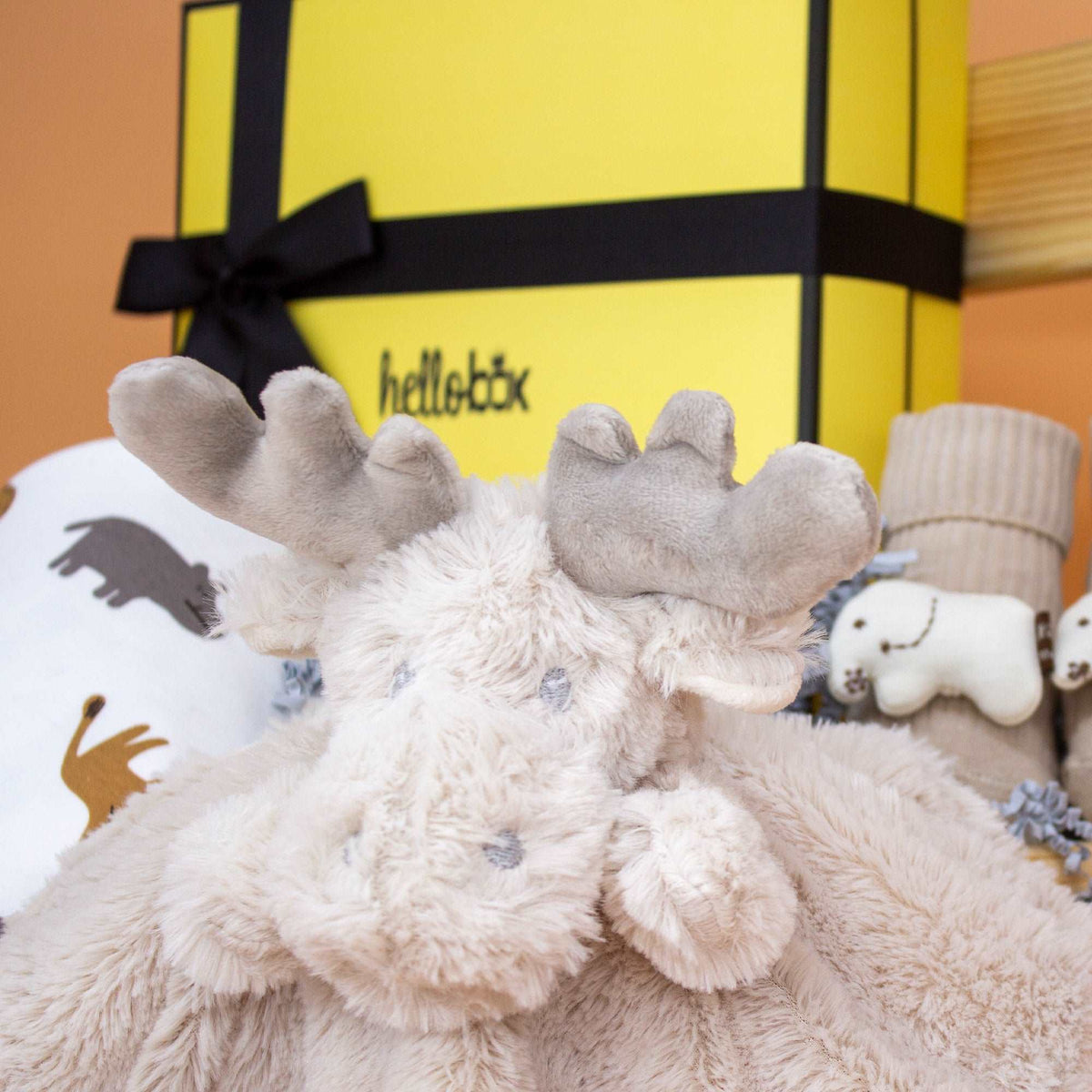 Newborn Gifts | Baby Birth Gift Set for Boys & Girls