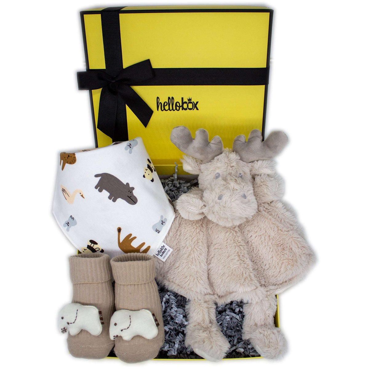 Newborn Gifts | Baby Birth Gift Set for Boys & Girls