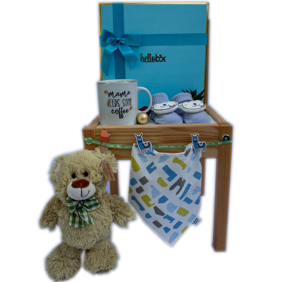 Newborn Boy Gift Set