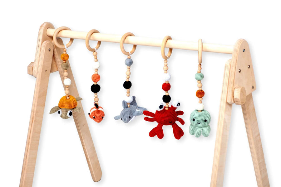 Baby Play Gym & Hanging Toys-1
