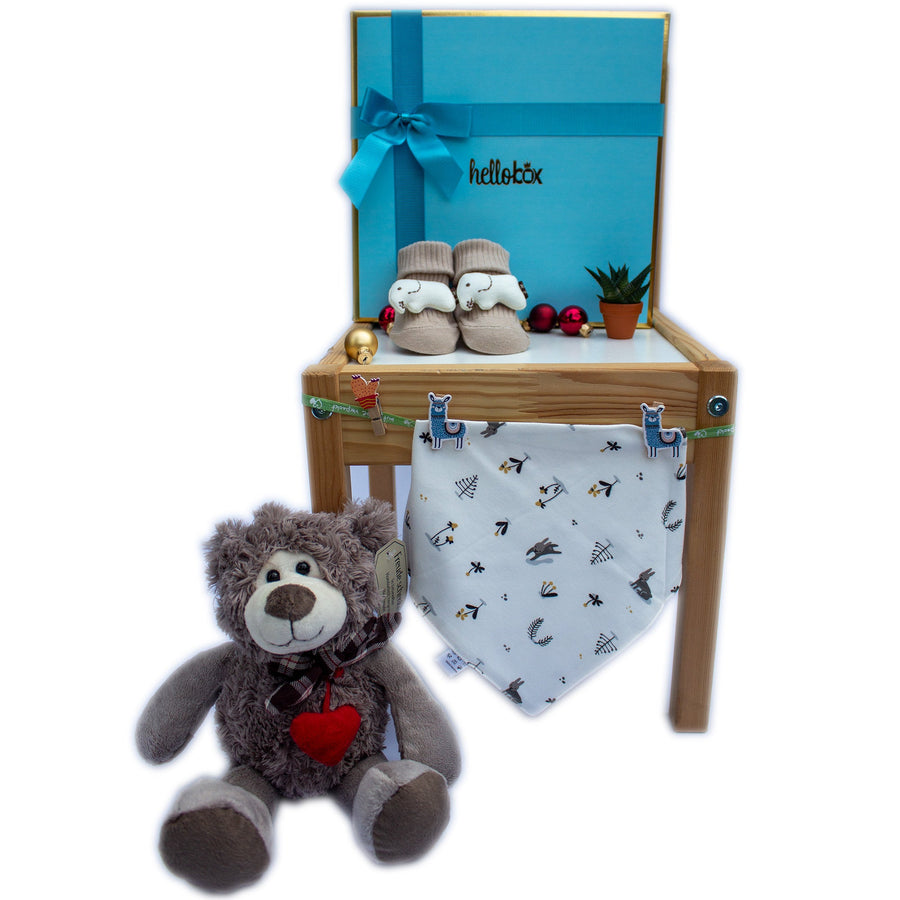 Newborn Boy Gift Set - Bear