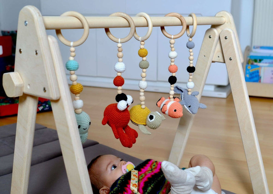 Baby Play Gym & Hanging Toys-0
