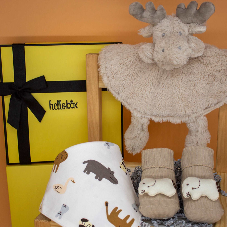 Newborn Gifts | Baby Birth Gift Set for Boys & Girls