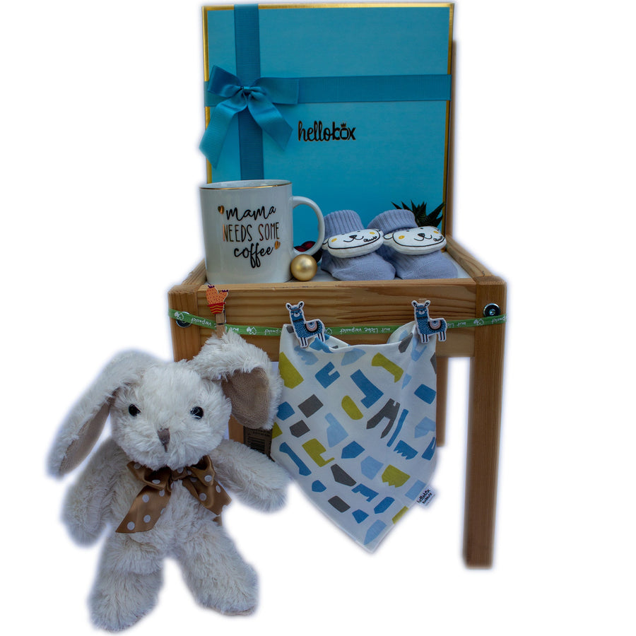 Newborn Boy Gift Set - Bunny