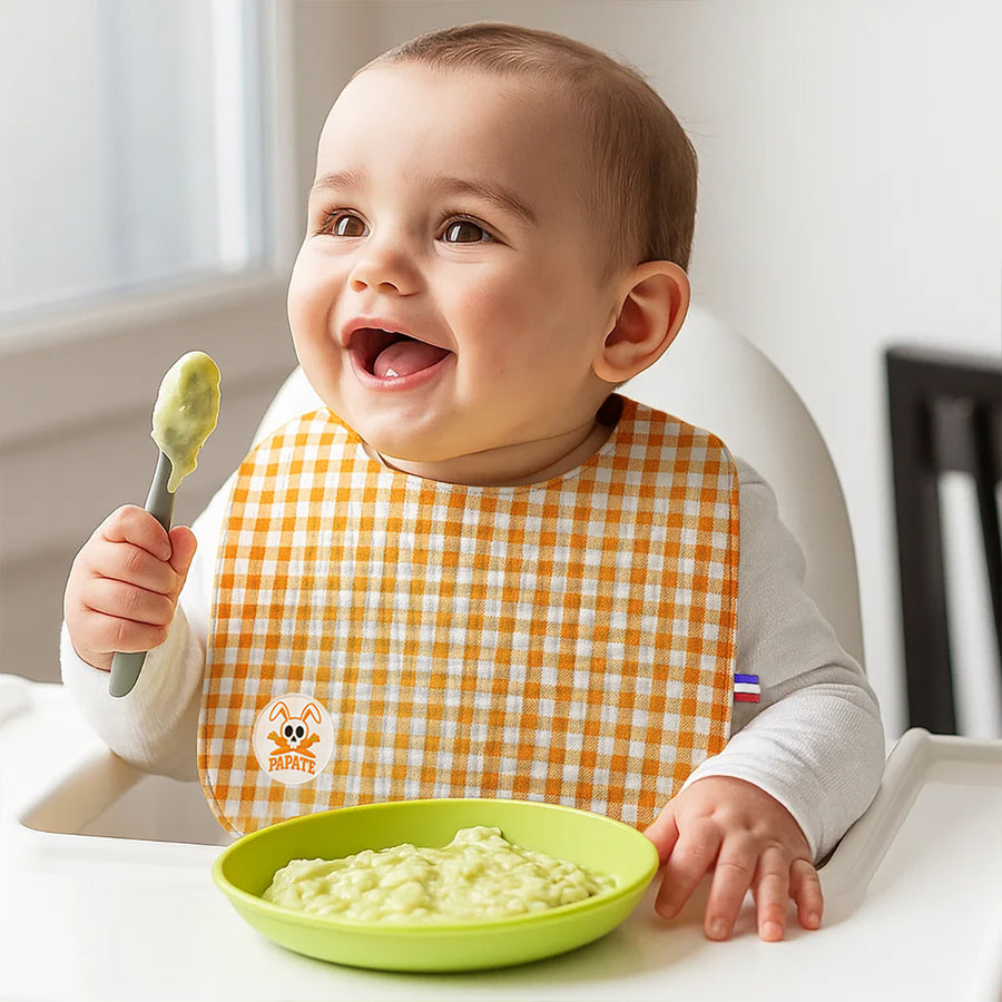 Organic Cotton Bib - Vichy