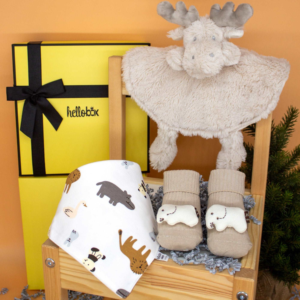 Newborn Gifts | Baby Birth Gift Set for Boys & Girls