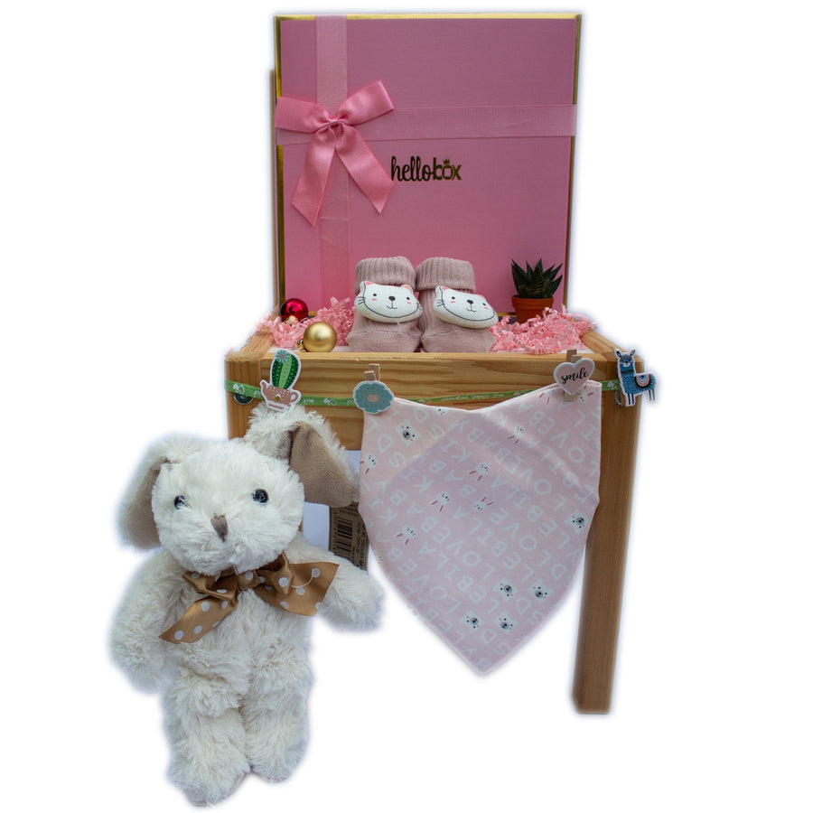 Newborn Girl Gift Set - White Bunny