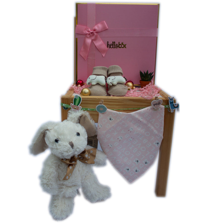 Newborn Girl Gift Set - White Bunny & Elephant