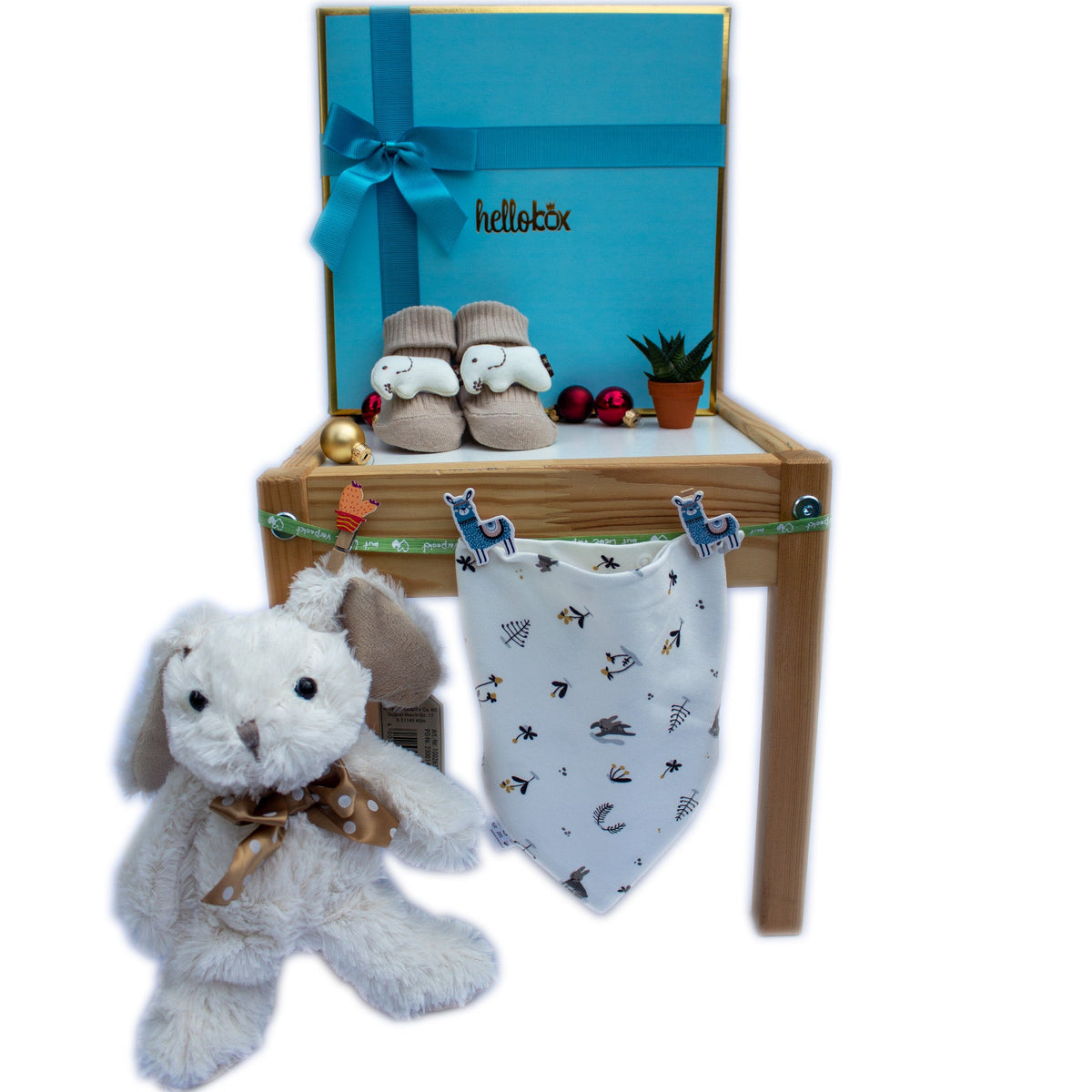 Newborn Boy Gift Set - Bunny