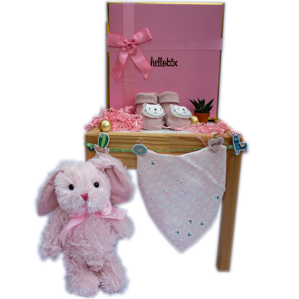 Newborn Girl Gift Set - Pink Bunny &amp; Cat