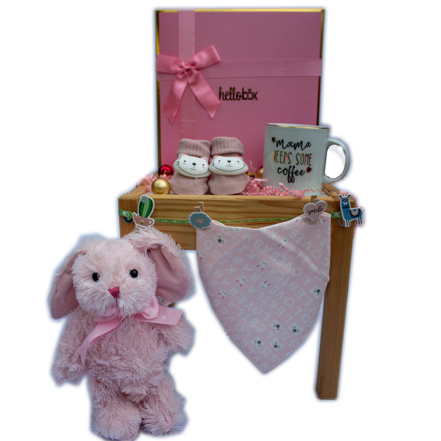 Newborn Girl Gift Set - White Bunny &amp; Cat